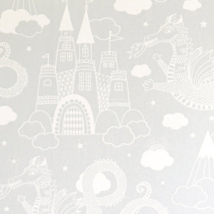 Dragon sky – pilka