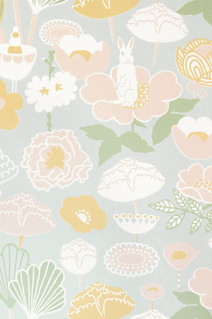 Little light – pilka